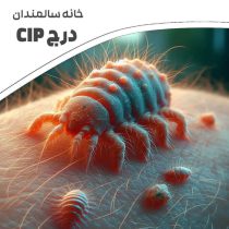 بیماری پوستی گال؛ راهنمای کامل شناخت و درمان آن - درج